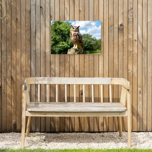 Uil - Boomstronk - Bos - Lucht Tuinposter op houten frame 2 cm dik klein -sfeer4