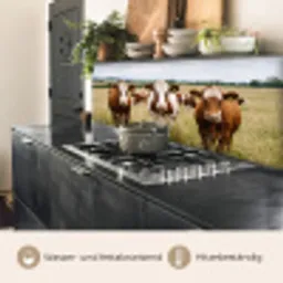 Koeien - Portret - Weide - Boerderij - Nieuwsgierig keuken achterwand 2 middel -usp_DE