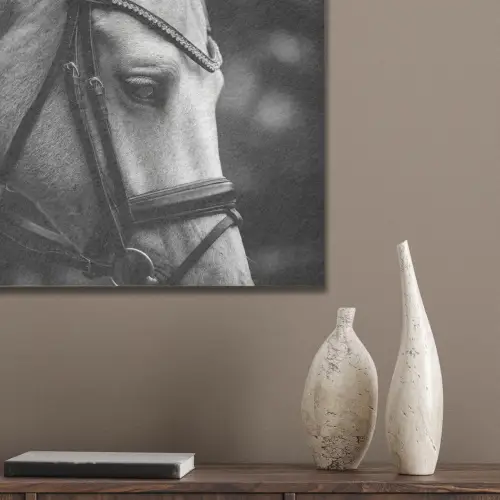 Paard - Schimmel - Portret PET vilt klein -sfeer6_closeup