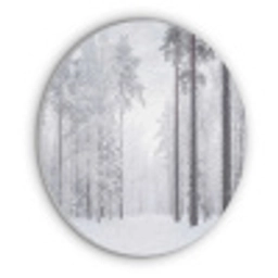 Bos - Sneeuw - Pad - Winter - Stilte Akoestische PET Vilt - Rond klein -3d