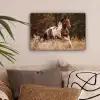 Paard - Bruin - Gras canvas 2cm klein -sfeer1