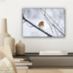 Roodborstje - Tak - Sneeuw - Winter - Levendig canvas 2cm klein -sfeer6