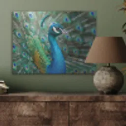 Pauw - Veren - Blauw PET vilt klein -sfeer2
