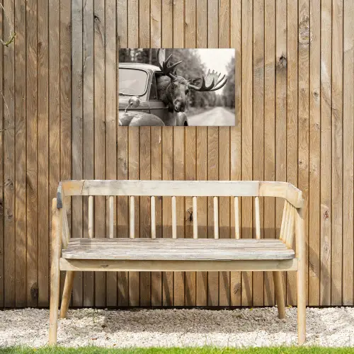 Eland - Auto - Gewei - Zwart - Wit Tuinposter op houten frame 2 cm dik klein -sfeer4
