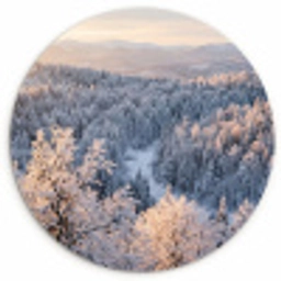 Bos - Bergen - Goud - Winter - Warm Wandcirkel kunststof plaat 5mm dik klein -3d