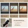 Vos - Gras - Wolken - Oranje Light Box met batterij (Wandlamp) middel -USP_lichtkleurNL