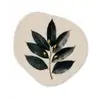 Laurierbladeren - Bloemknoppen - subtiel Wandcirkel Organisch Forex 3mm klein -3d