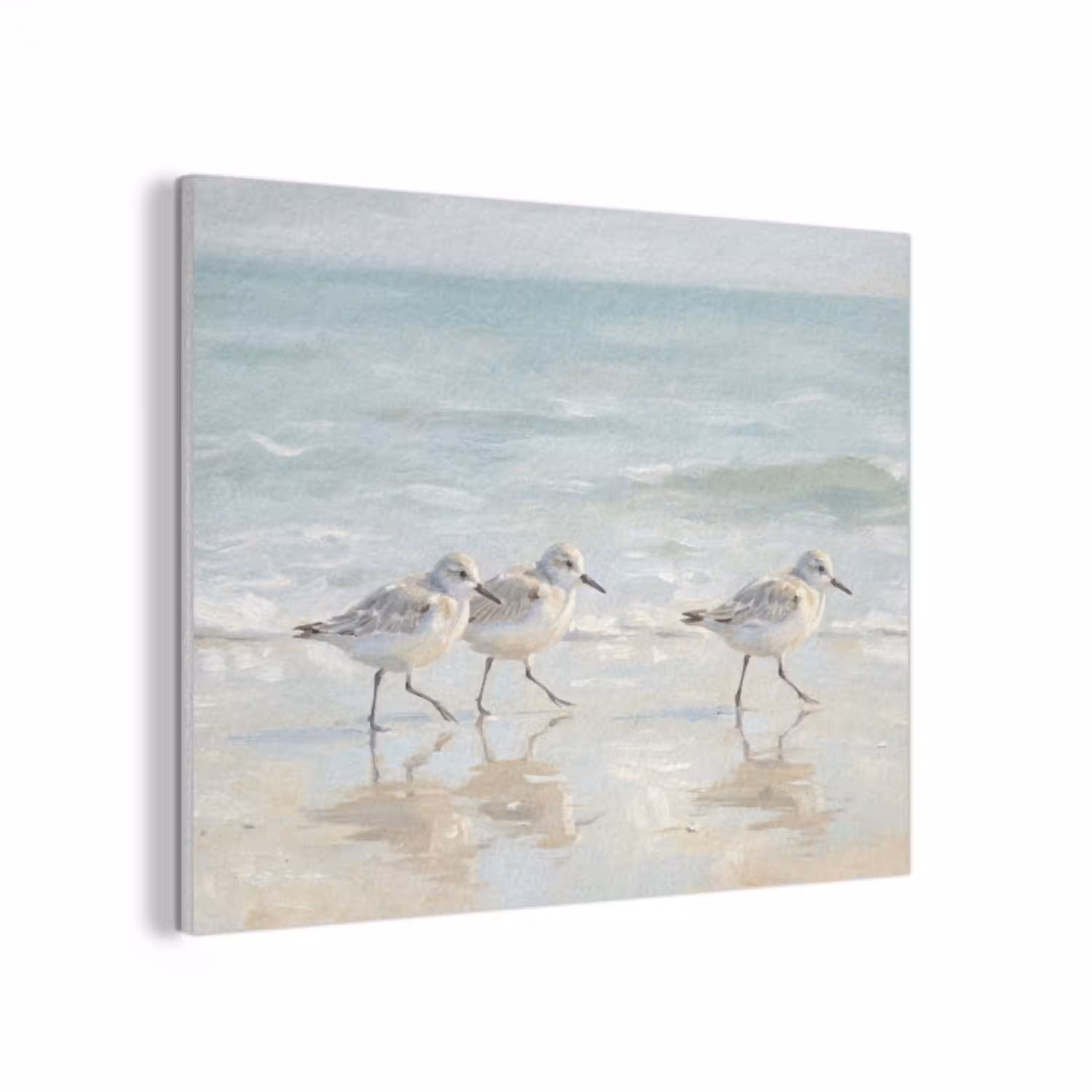 Vogels - Strand - Zee PET vilt klein -3d