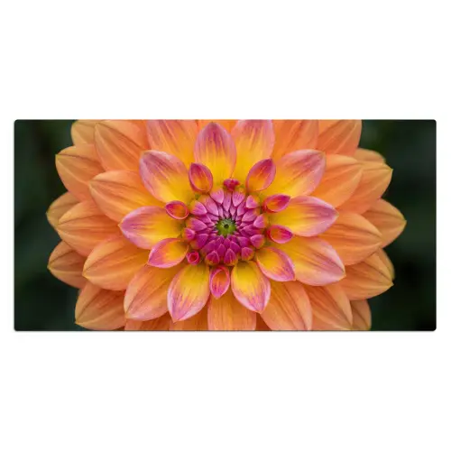 Dahlia - Bloem - Oranje Muismat XXL klein -3d_leeg