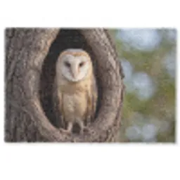 Kerkuil - Boom - Natuur - Bruin Deurmat klein -zkaufland3d