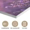 Lavendel - Paars - Zonlicht PET vilt klein -closeup_DE