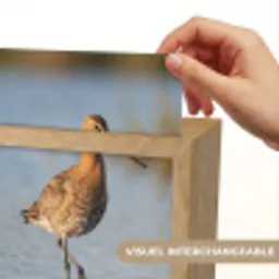 Vogel - Steltloper - Water - Natuur Light Box met kabel (Kinderlampje) klein -USP_websiteprintFR