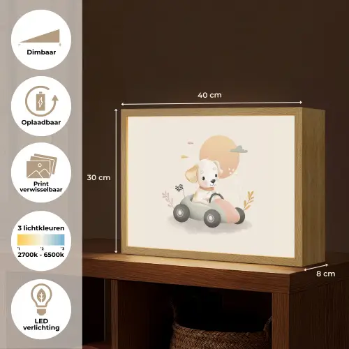 Puppy - Raceauto - Oranje Light Box met batterij (Wandlamp kind) middel -USP_websiteoverzichtNL