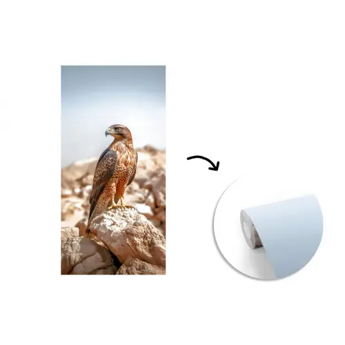 Valk - Vogel - Rots - Macht fotobehang vinyl groot -3d