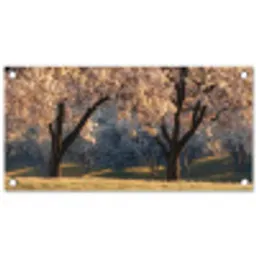 Bomen - Bloesem - Lente tuinposter los doek klein -3d