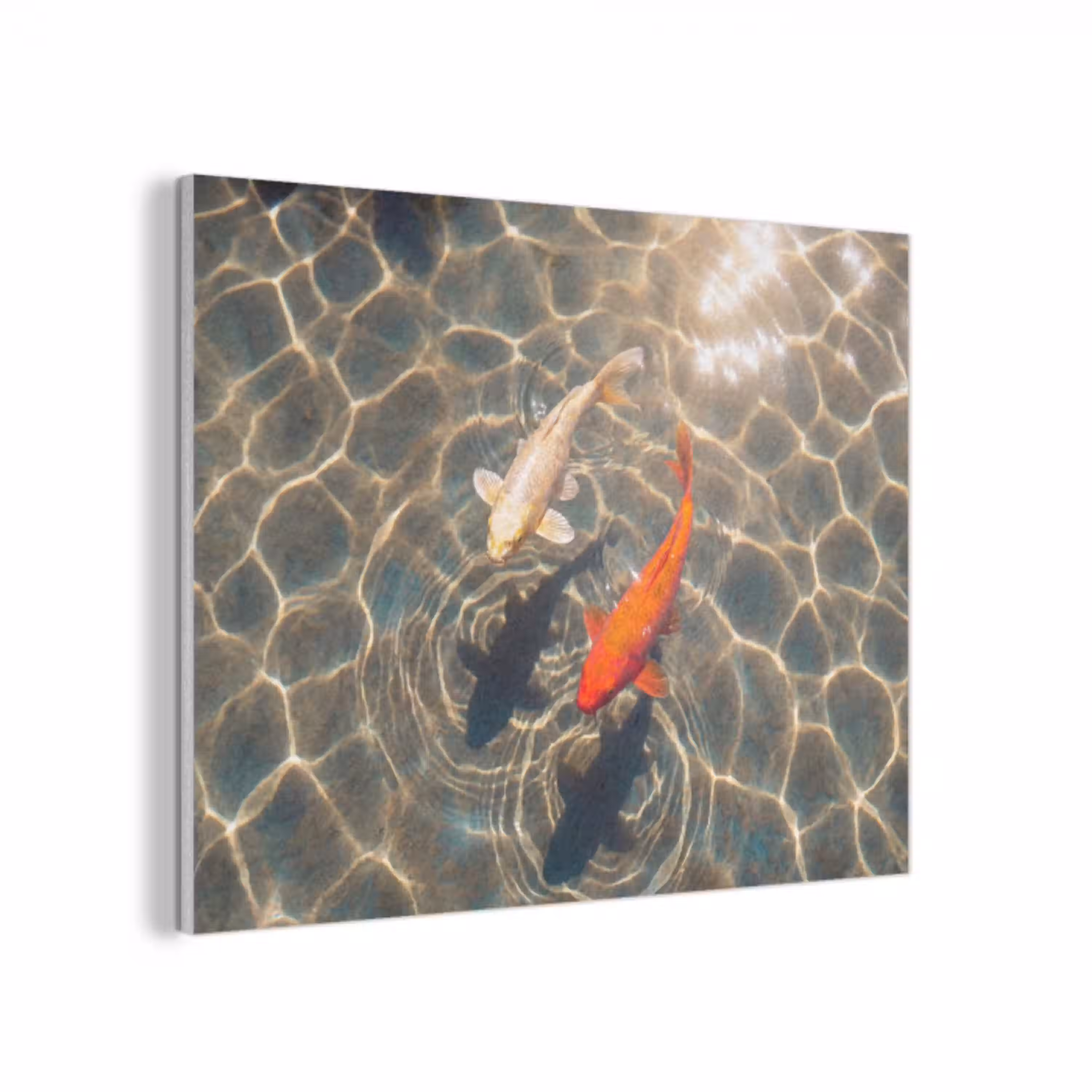Vis - Water - Dieren - Oranje - Goud PET vilt klein -3d