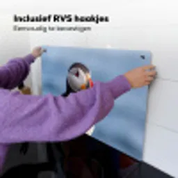 Papegaaiduiker - Portret - Natuur Inductie beschemer met haakjes klein -ky-ophangen-nl