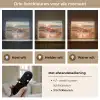 Duin - Planten - Zonsondergang - Strand - Zee Light Box met batterij (Wandlamp) middel -USP_lichtkleurNL