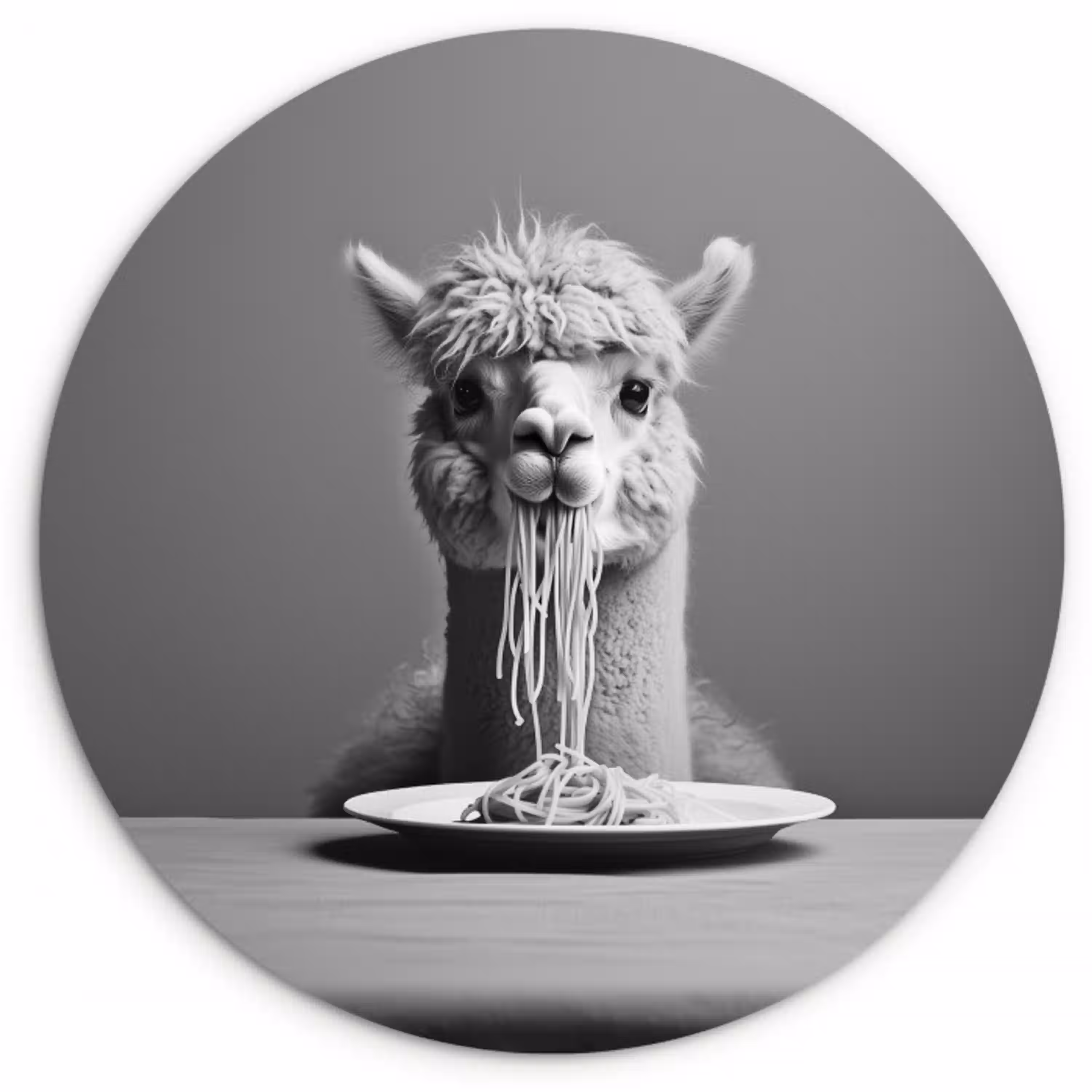 Alpaca - Pasta - Zwart - Wit - Grappig - Dieren Wandcirkel plexiglas klein -3d