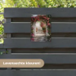 Doorkijk - Rozen - Vintage - Poort tuinposter los doek klein -sfeer3