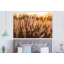 Rietpluimen - Gras - Zonsondergang - Goud - Serene forex 5mm xxl -slaapkamer