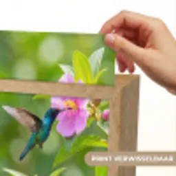 Kolibrie - Bloem - Natuur - Groen Light Box met kabel (Kinderlampje) klein -USP_websiteprintNL