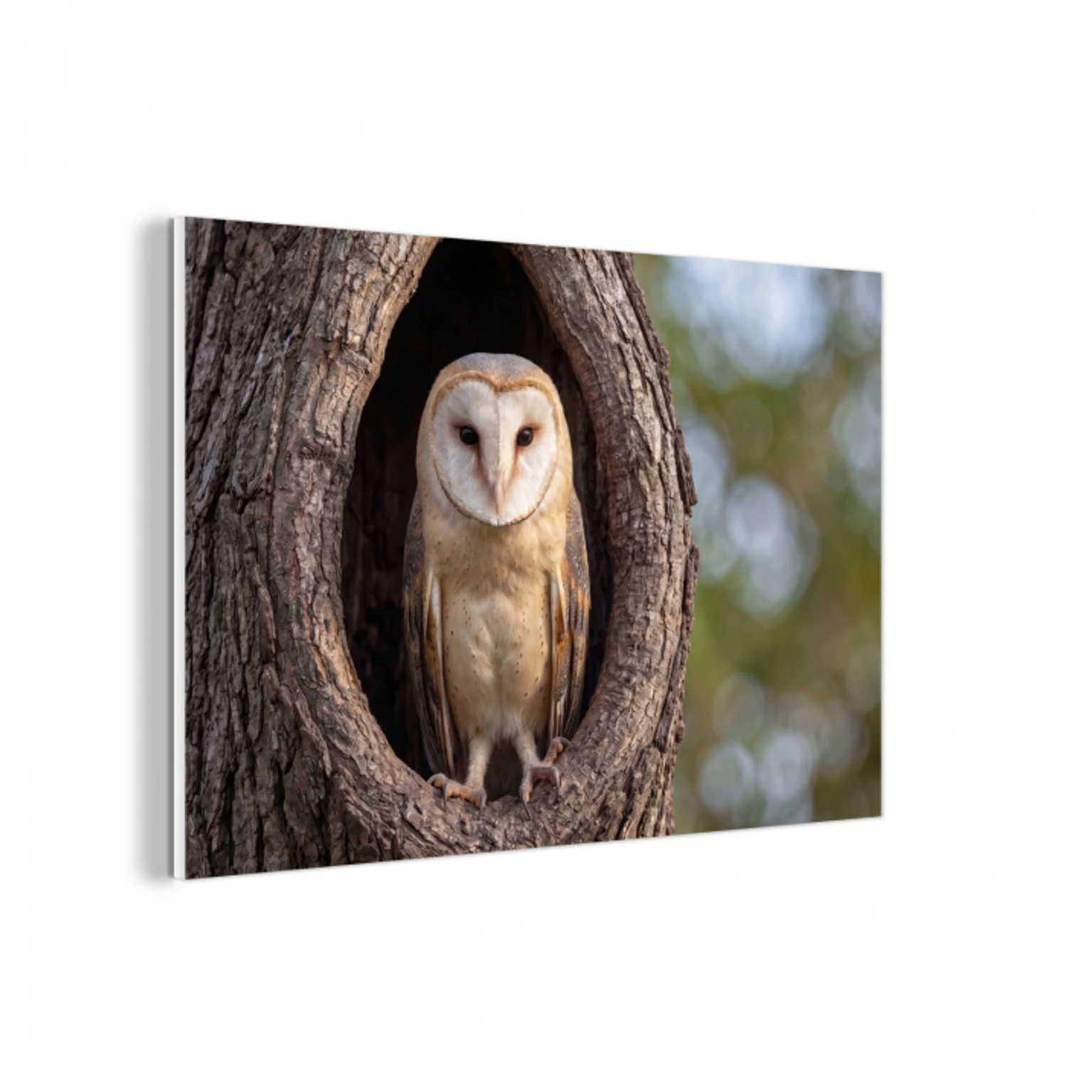 Kerkuil - Boom - Natuur - Bruin forex 5mm xxl -3d