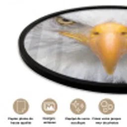 Amerikaans - Zeearend - Portret - Geel Fotolijst rond zonder passe partout klein -closeup_FR