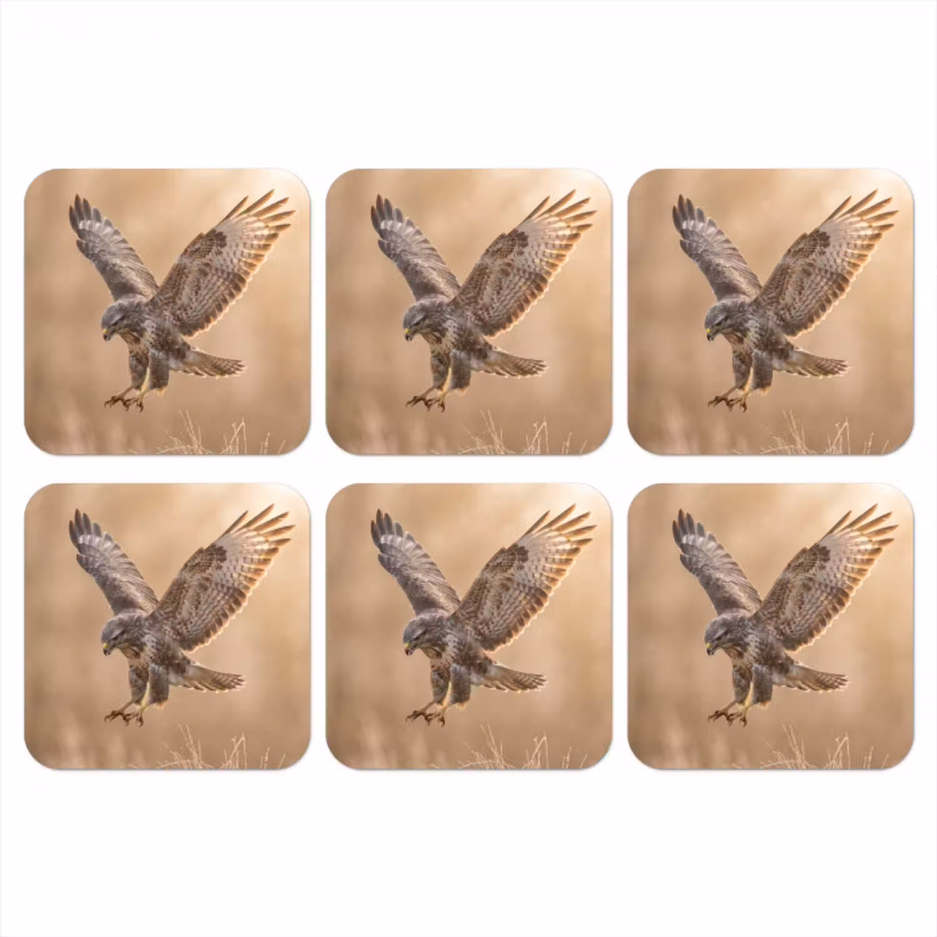 Buizerd - Roofvogel - Natuur - Bruin onderzetter kurk middel -3d