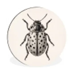 Kever - Insect - Vintage Wandcirkel aluminium klein -3d