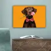 Hond - Oranje - Roos - Valentijn canvas 2cm klein -sfeer4