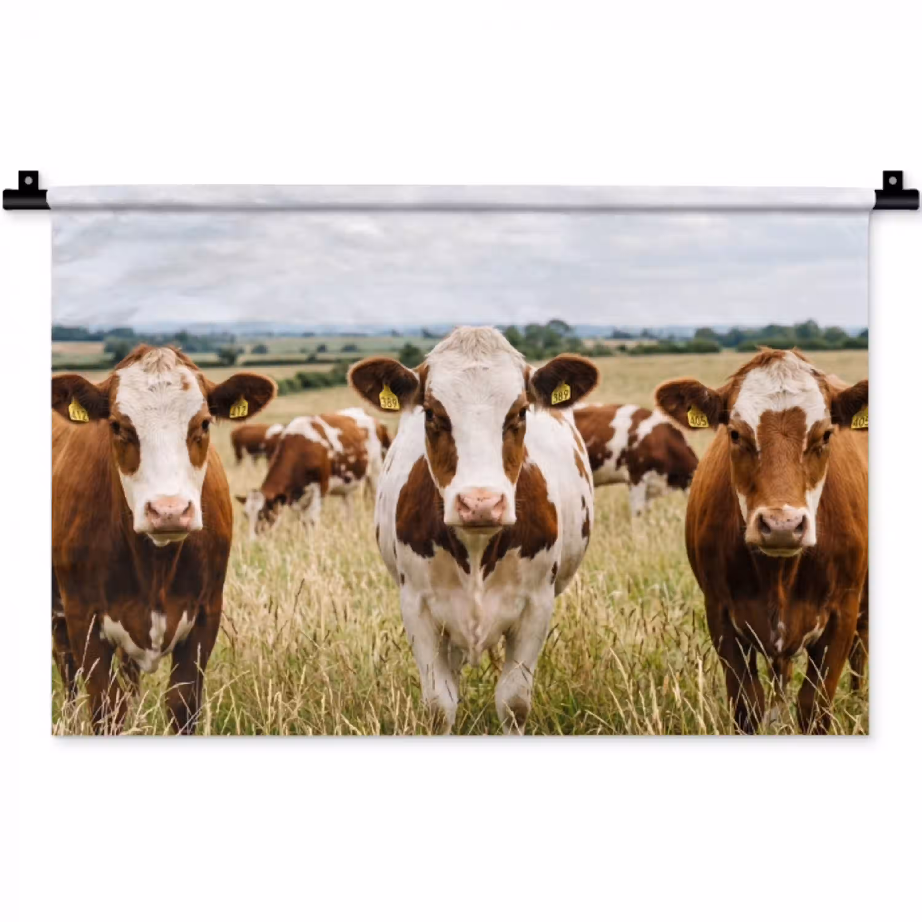 Koeien - Portret - Weide - Boerderij - Nieuwsgierig Wandkleed katoen klein -zz3d