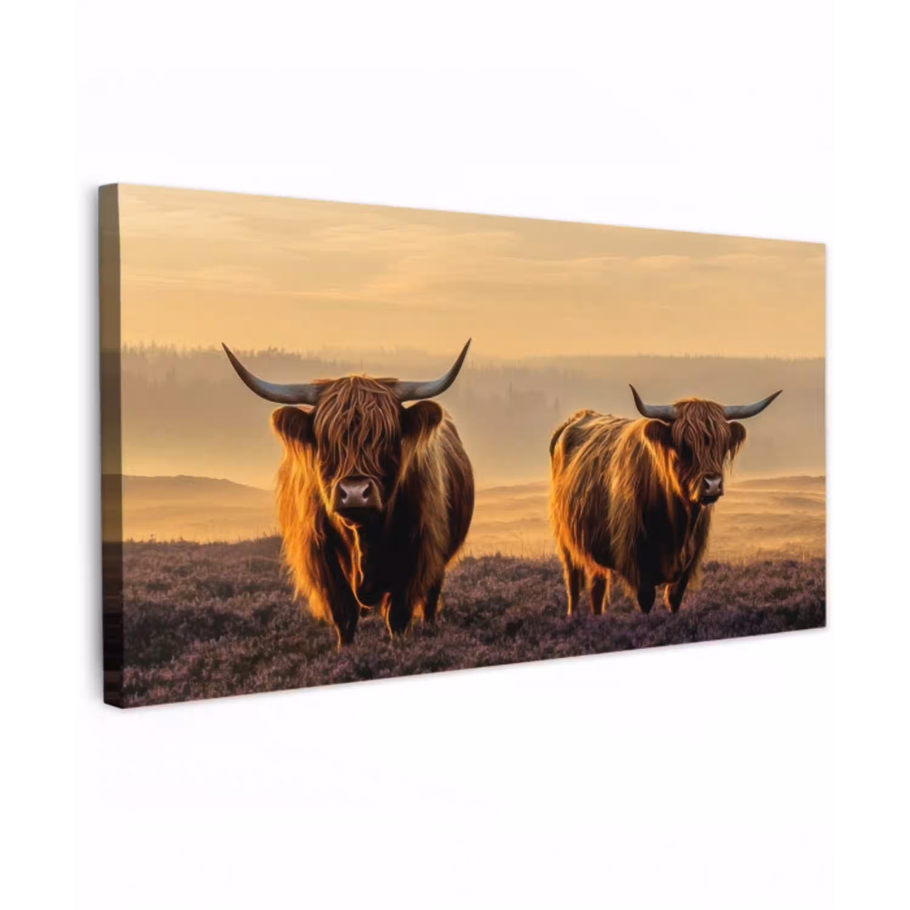 Schotse hooglanders - Heide - Landschap - Dieren Tuinposter op houten frame 2 cm dik xxl -3d