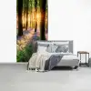 Bos - Bloemen - Lavendel - Zon fotobehang vinyl groot -slaapkamer