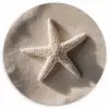 Strand - Zeester - Zand - Beige Wandcirkel kunststof plaat 5mm dik klein -3d