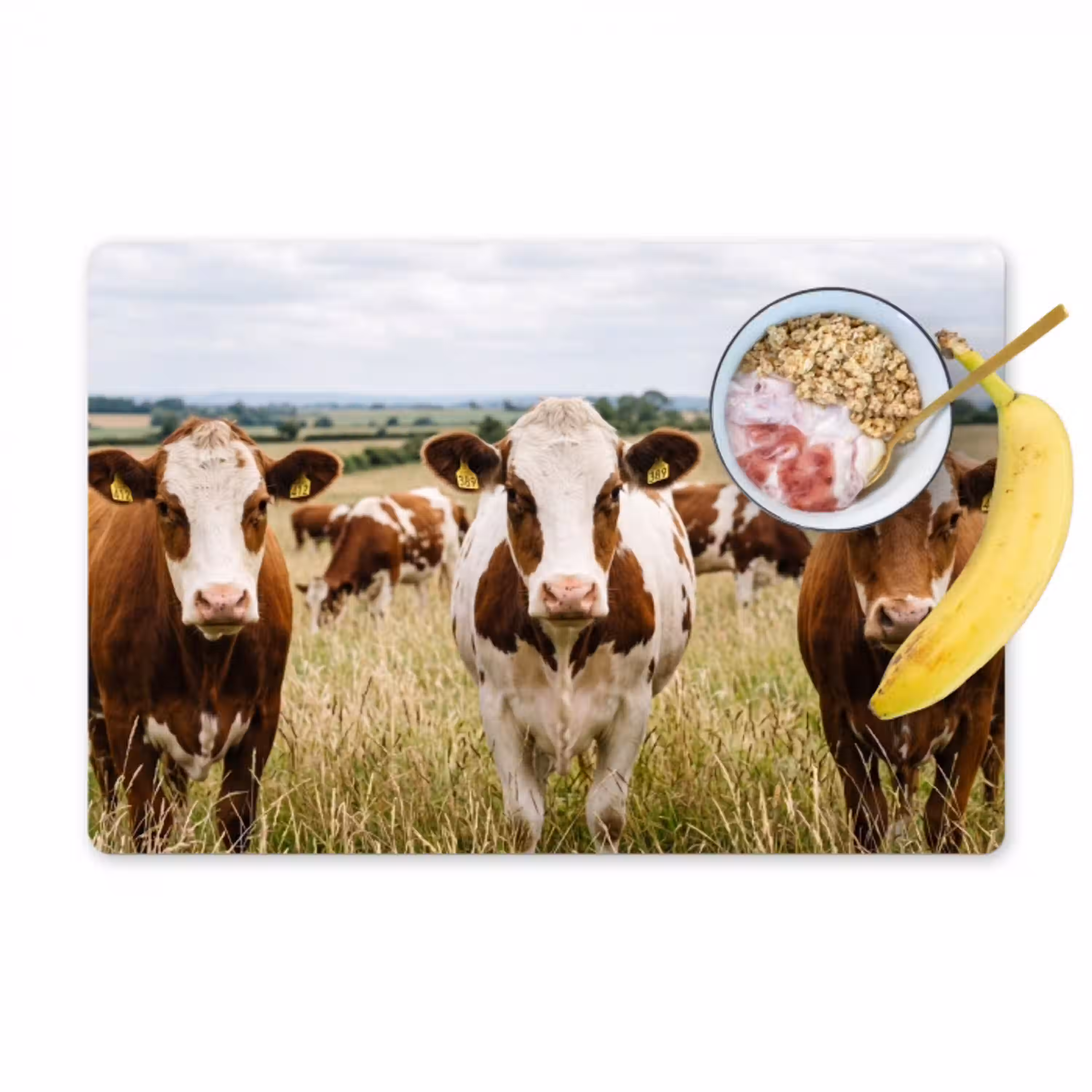 Koeien - Portret - Weide - Boerderij - Nieuwsgierig Placemat vinyl groot -zzzproduct_Kitchenyeah-website