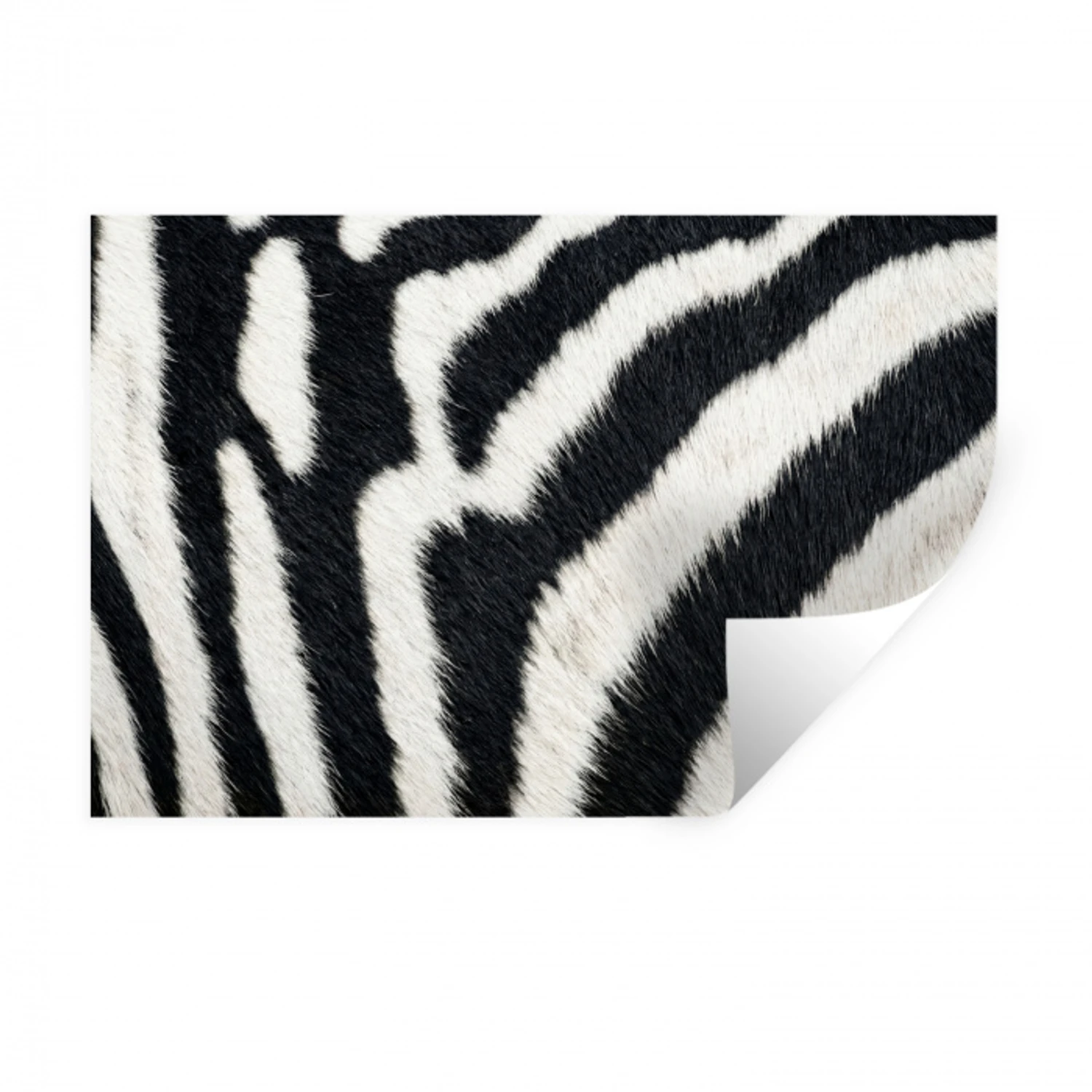 Zebra - Vacht - Klassiek - Zwart - Wit Muursticker klein -3d