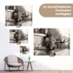 Eland - Auto - Gewei - Zwart - Wit tuinposter los doek klein -Xsfeer9_DE