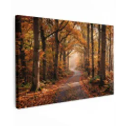 Bospad - Herfstbos - Bladeren - Oranje - Nostalgisch canvas 2cm klein -z3d