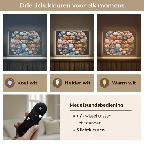 Teddybeer - Knuffel - Dieren - Meisjes - Jongens Light Box met batterij (Wandlamp kind) middel -USP_lichtkleurNL