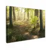 Bos - Bomen - Pad - Zon - Planten - Bladeren - Natuur Tuinposter op houten frame 2 cm dik klein -3d