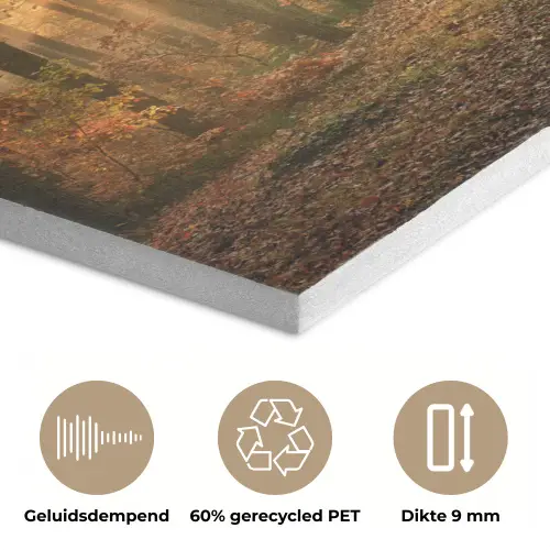 Bos - Herfst - Zon - Landschap - Natuur - Bomen - Bladeren PET vilt klein -closeup_NL
