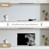 Dieren - Leeuw - Zwart - Wit - Portret keuken achterwand spatscherm klein -voor_na_NL