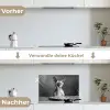 Sphynx - Kat - Dieren - Humor - Spaghetti - Zwart Wit keuken achterwand spatscherm klein -voor_na_DE