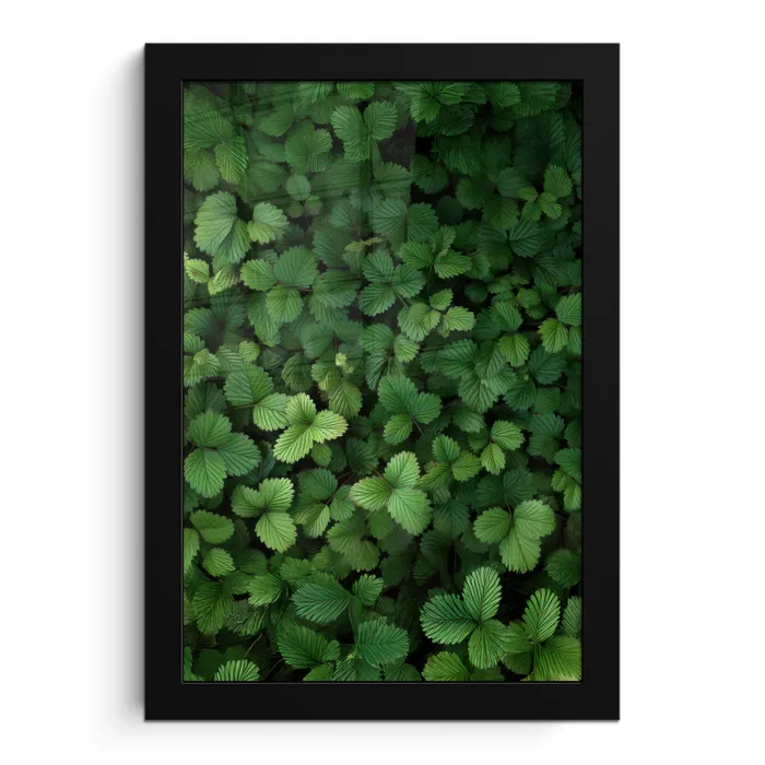 Groen - Bladeren - Kartel - Zonlicht fotolijst zwart zonder passe partout klein -3d