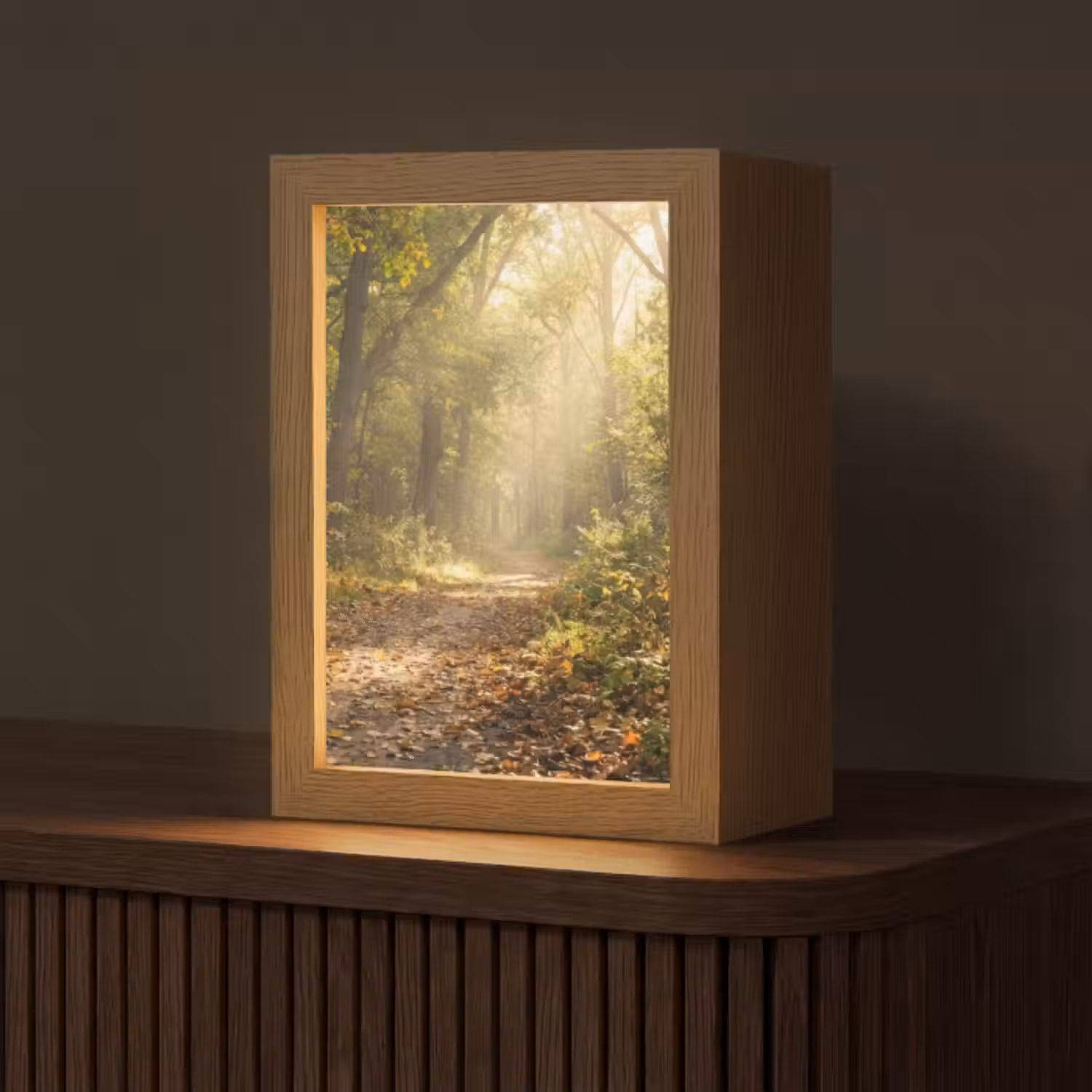 Tischlampe - Sonnenlicht - Waldweg - Bäume