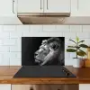 Leeuw tegen zwarte achtergrond in zwart-wit keuken achterwand spatscherm klein -sfeer2