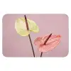 Bloemen - Anthuriums - Geel - Roze WCmat klein -3d