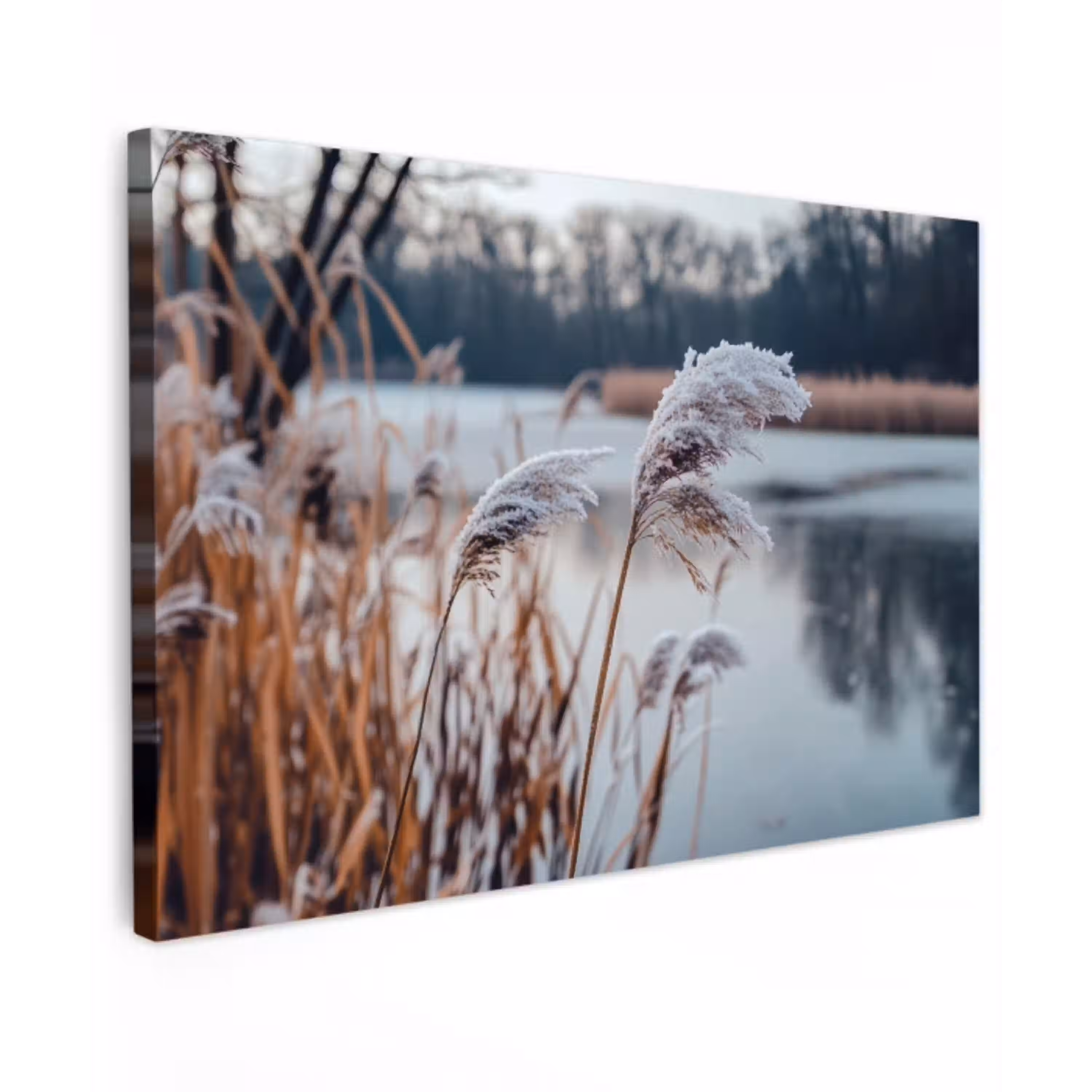 Riet - Gras - Natuur - Winter - Meer Tuinposter op houten frame 2 cm dik klein -3d