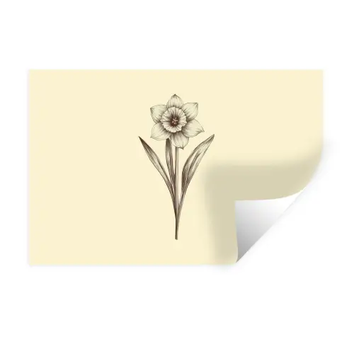 Zwart - Narcis - Illustratie Muursticker klein -3d
